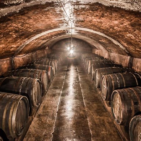 Willa Weingut Dr Wagner Saarburg Zewnętrze zdjęcie