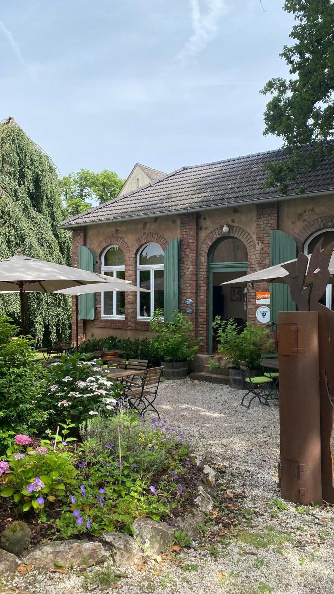 Willa Weingut Dr Wagner Saarburg Zewnętrze zdjęcie